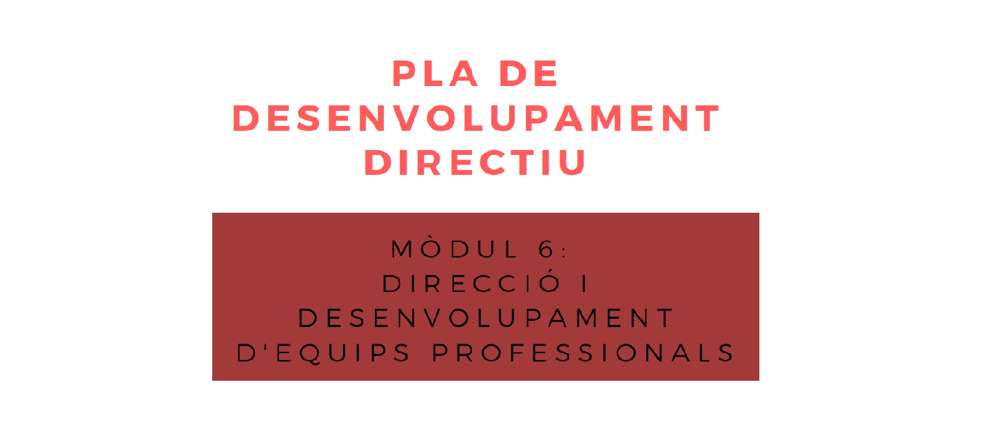 Pla de desenvolupament directiu - Mòdul 6. Direcció i desenvolupament d'equips professionals_2022